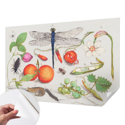 Autocolante de parede fotográfico com ilustração da natureza