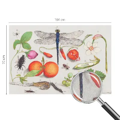 Autocolante de parede fotográfico com ilustração da natureza