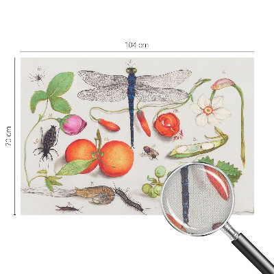 Autocolante de parede fotográfico Ilustração da natureza