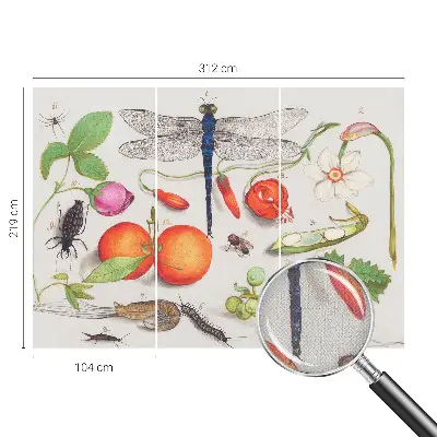 Autocolante de parede fotográfico com ilustração da natureza