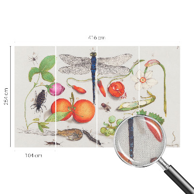 Autocolante de parede fotográfico Ilustração da natureza