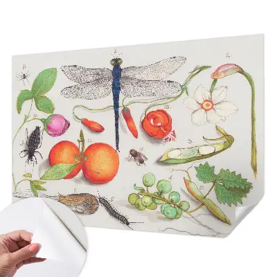 Autocolante de parede fotográfico com ilustração da natureza