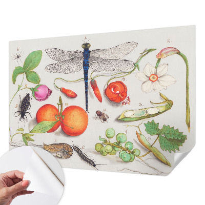 Autocolante de parede fotográfico Ilustração da natureza