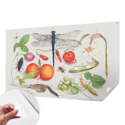 Autocolante de parede fotográfico com ilustração da natureza