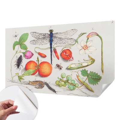 Autocolante de parede fotográfico Ilustração da natureza