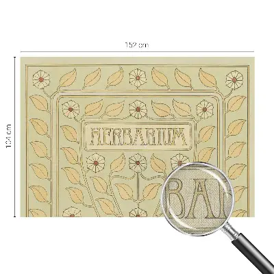 Papel de parede 3D com ornamento de planta