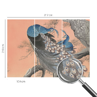 Papel de parede autocolante para quarto Elegância do pavão