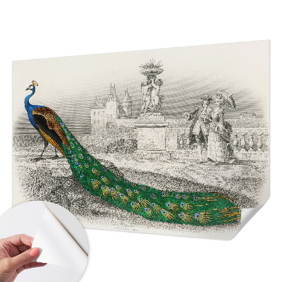 Autocolante de parede fotográfico Penas coloridas