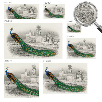 Autocolante de parede fotográfico Penas coloridas