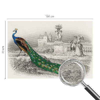 Autocolante de parede fotográfico Penas coloridas