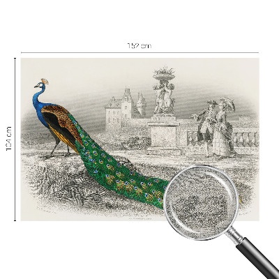 Autocolante de parede fotográfico Penas coloridas