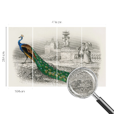 Autocolante de parede fotográfico Penas coloridas