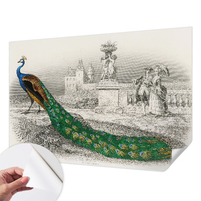 Autocolante de parede fotográfico Penas coloridas