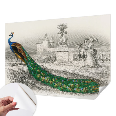 Autocolante de parede fotográfico Penas coloridas