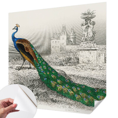 Autocolante de parede fotográfico com estampado de penas coloridas