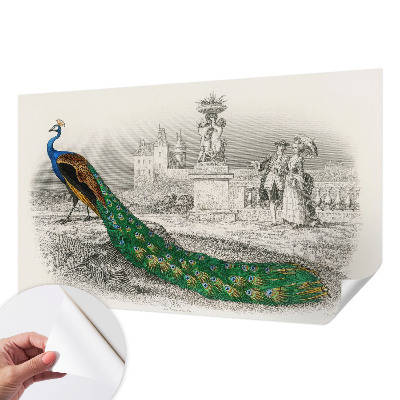 Autocolante de parede fotográfico Penas coloridas