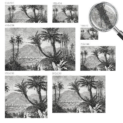 Papel de parede para criança com estampa de oásis tropical