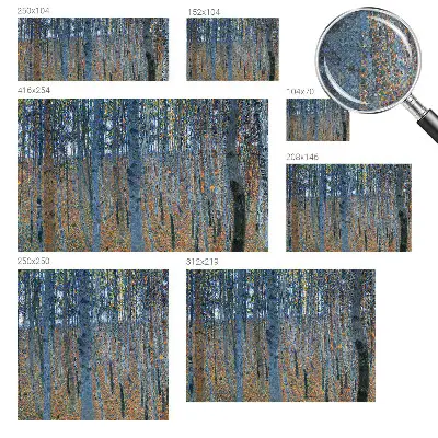 Autocolante de parede fotográfico com imagem de uma floresta de bétulas