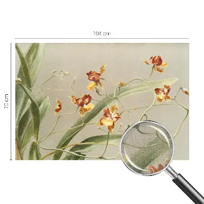 Papel de parede autocolante para quarto com estampa de orquídeas clássicas