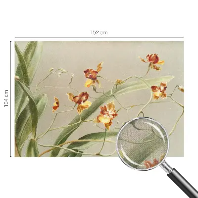 Papel de parede autocolante para quarto com estampa de orquídeas clássicas