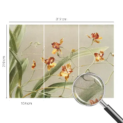 Papel de parede autocolante para quarto com estampa de orquídeas clássicas