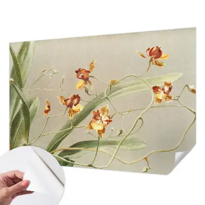 Papel de parede autocolante para quarto com estampa de orquídeas clássicas