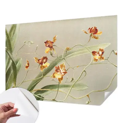 Papel de parede autocolante para quarto com estampa de orquídeas clássicas