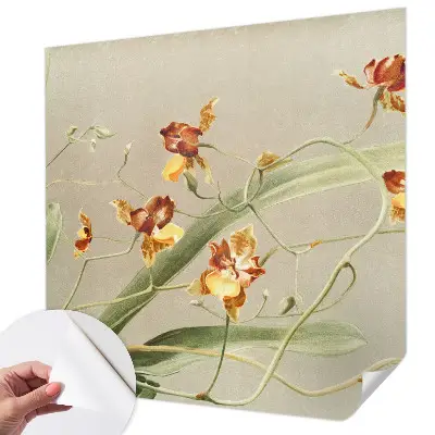 Papel de parede autocolante para quarto com estampa de orquídeas clássicas