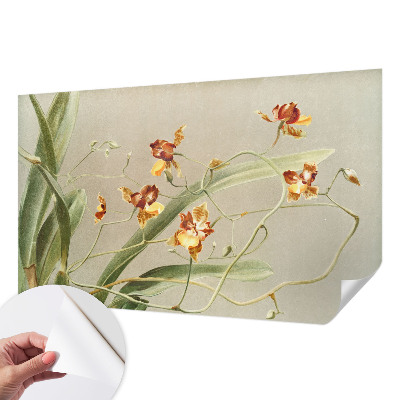Papel de parede autocolante para quarto Orquídeas clássicas