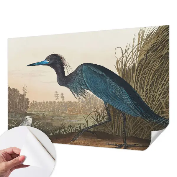 Papel de parede autocolante com estampa de aves aquáticas