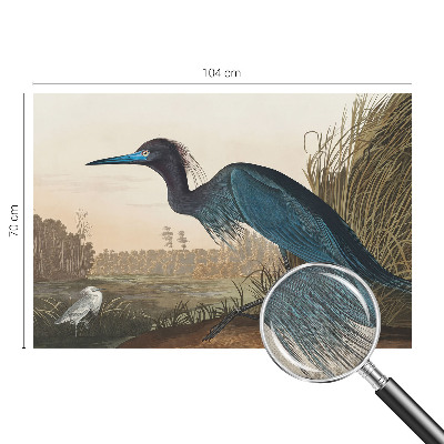 Papel de parede autocolante Aves aquáticas