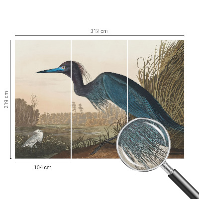 Papel de parede autocolante Aves aquáticas