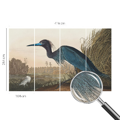 Papel de parede autocolante Aves aquáticas