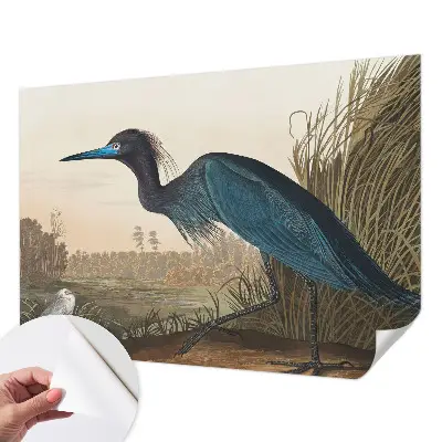 Papel de parede autocolante com estampa de aves aquáticas