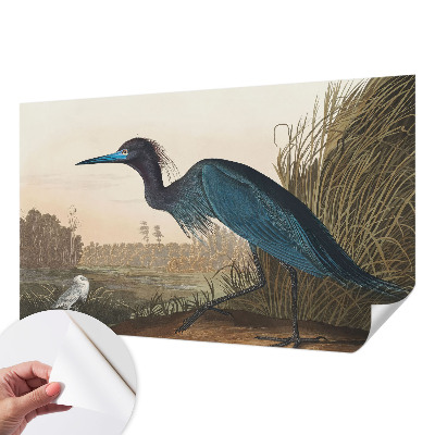 Papel de parede autocolante Aves aquáticas