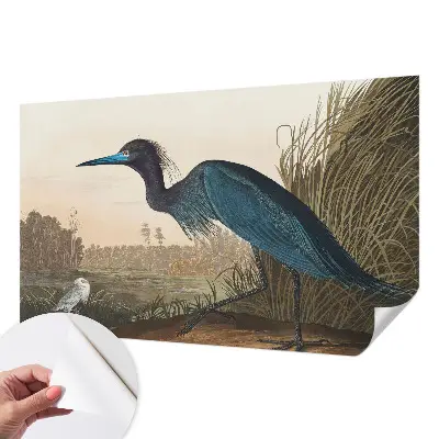 Papel de parede autocolante com estampa de aves aquáticas