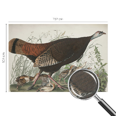 Papel de parede autocolante para sala Harmonia natural