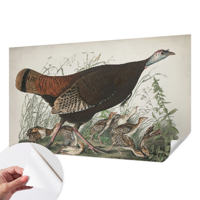 Papel de parede autocolante para sala Harmonia natural