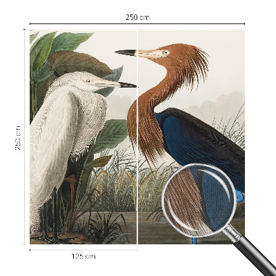 Papel de parede autocolante Pássaros em plantas