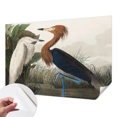 Papel de parede autocolante com estampa de pássaros e folhagens