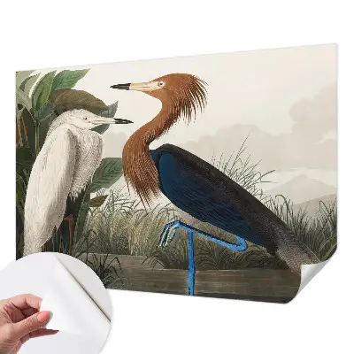 Papel de parede autocolante com estampa de pássaros e folhagens