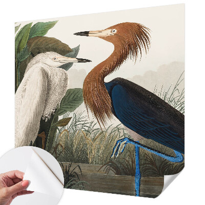 Papel de parede autocolante Pássaros em plantas