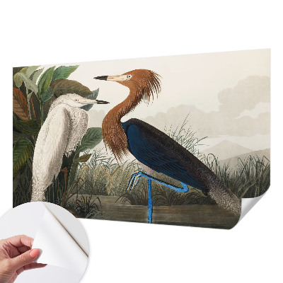 Papel de parede autocolante Pássaros em plantas