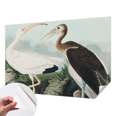 Autocolante de parede fotográfico Casal de pássaros