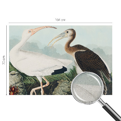 Autocolante de parede fotográfico com imagem de um casal de pássaros