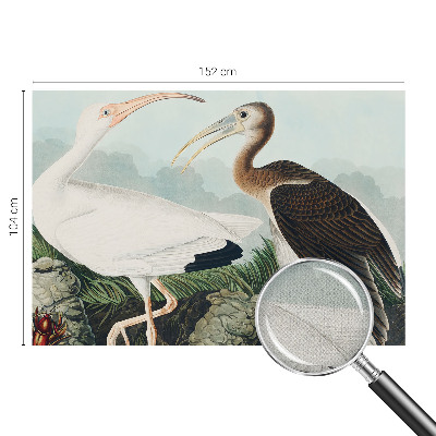 Autocolante de parede fotográfico com imagem de um casal de pássaros