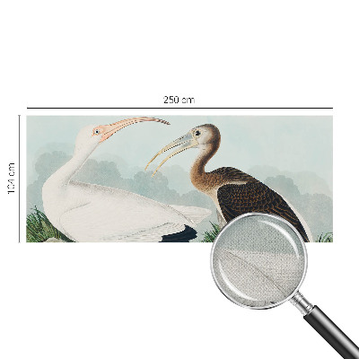 Autocolante de parede fotográfico com imagem de um casal de pássaros