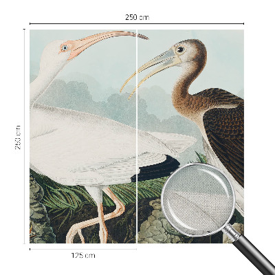Autocolante de parede fotográfico com imagem de um casal de pássaros