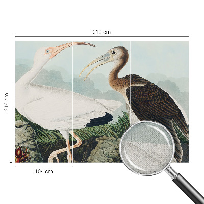 Autocolante de parede fotográfico com imagem de um casal de pássaros
