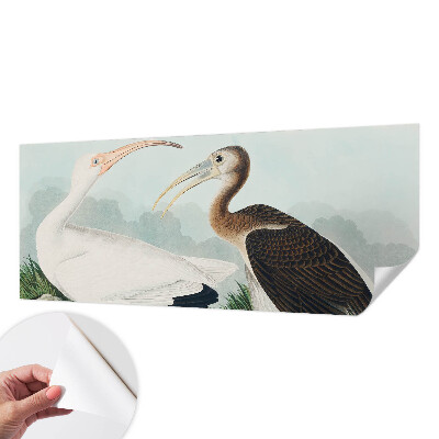 Autocolante de parede fotográfico com imagem de um casal de pássaros